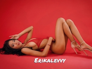 Erikalevvy