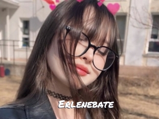 Erlenebate
