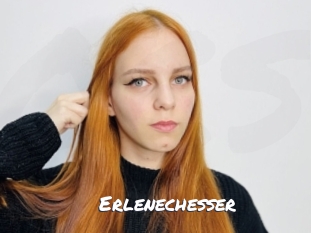 Erlenechesser