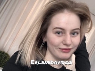 Erlenedavidge