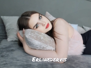 erlinedervis Ochranne Siete