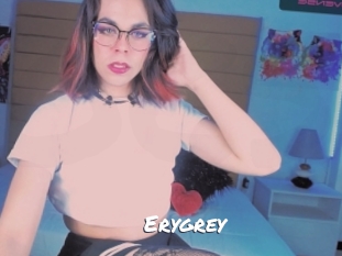 erygrey Ochranne Siete