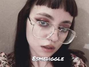 esmediggle Ochranne Siete