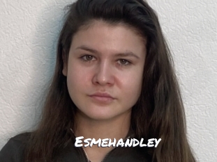 Esmehandley