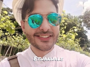 ethanhale Ochranne Siete