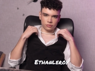 ethanleroy Ochranne Siete