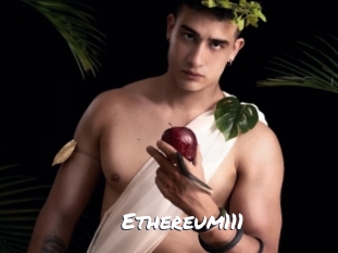 ethereum111 Ochranne Siete