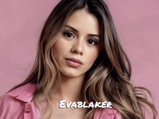 evablaker Ochranne Siete