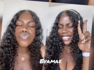 Evamae