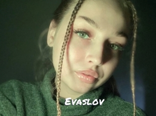 evaslov Ochranne Siete