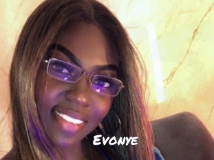 evonye Ochranne Siete