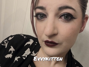 Evvykitten