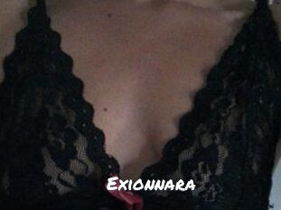 exionnara Ochranne Siete