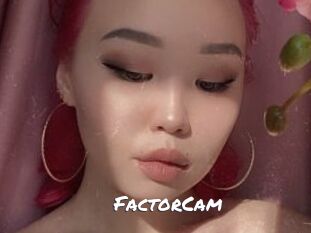 FactorCam