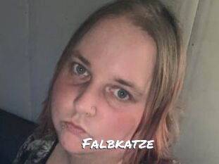 Falbkatze