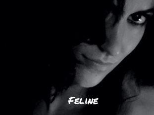 Feline Ochranne Siete