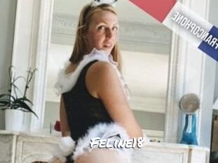 Feline18
