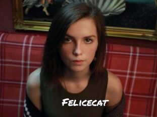 Felicecat