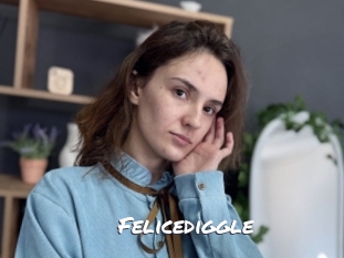 Felicediggle