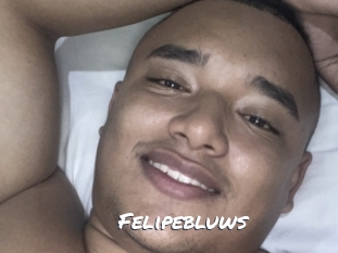felipebluws Ochranne Siete