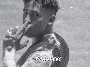 Fenixdeve