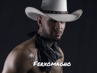 ferxomagno Ochranne Siete