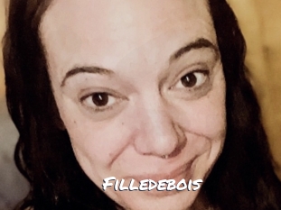 Filledebois