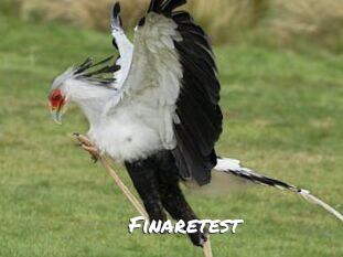 Finaretest