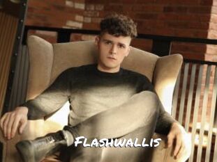 Flashwallis