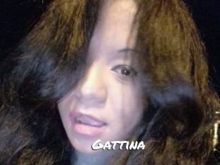 Gattina