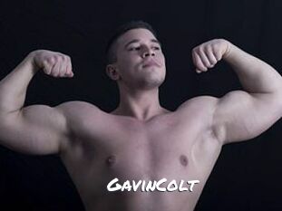 GavinColt