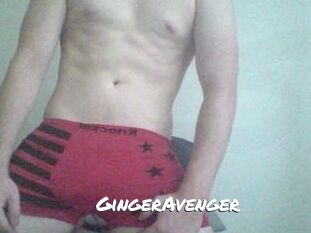 GingerAvenger