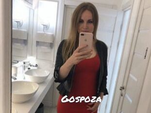 Gospoza Ochranne Siete