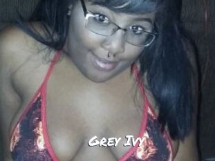 Grey_Ivy