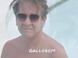 Galloboy4