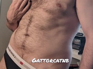Gattorcatnb
