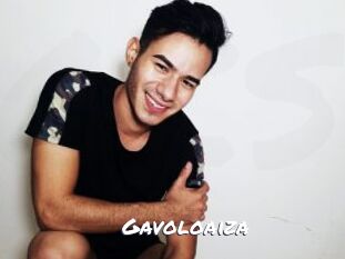 Gavoloaiza
