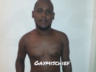 Gaymischief