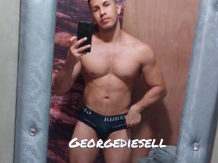 georgediesell Ochranne Siete