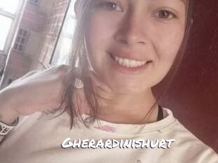 Gherardinishurt