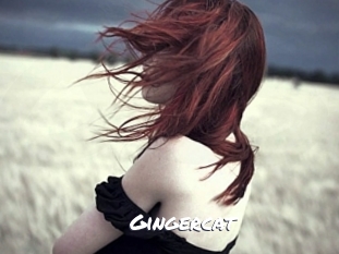 Gingercat