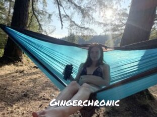 Gingerchronic