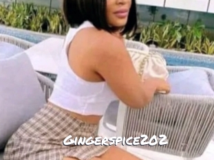 Gingerspice202