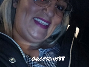 Grosseins88