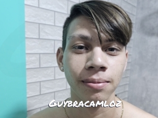 guybracamloz Ochranne Siete