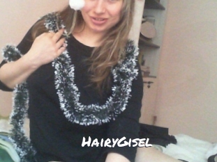 HairyGisel Ochranne Siete