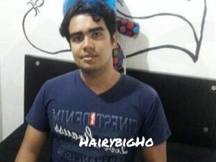 HairybigHo