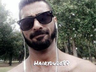 Hairydude87