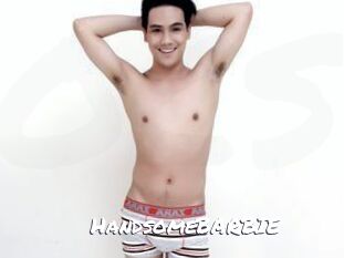 HandsomeBARBIE