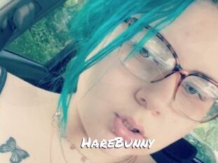 HareBunny